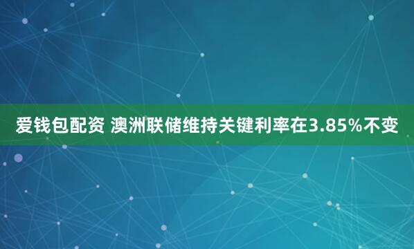 爱钱包配资 澳洲联储维持关键利率在3.85%不变