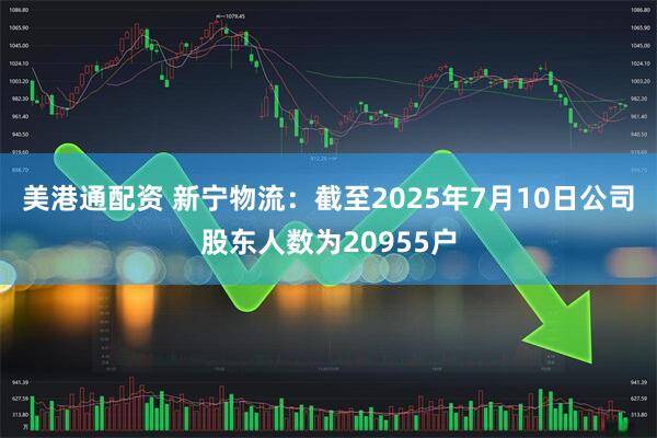 美港通配资 新宁物流：截至2025年7月10日公司股东人数为20955户